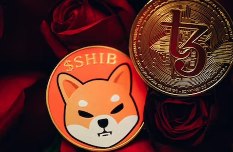 SHIB Meme Coin Loses 14% in Week, Where’s the Bottom?