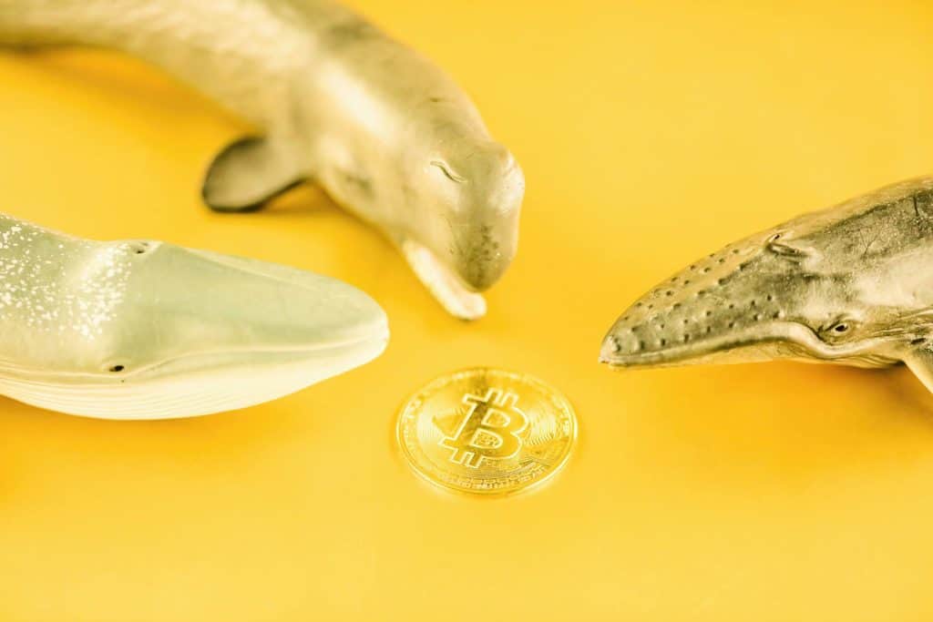 Whales in the Cryptocurrency Market