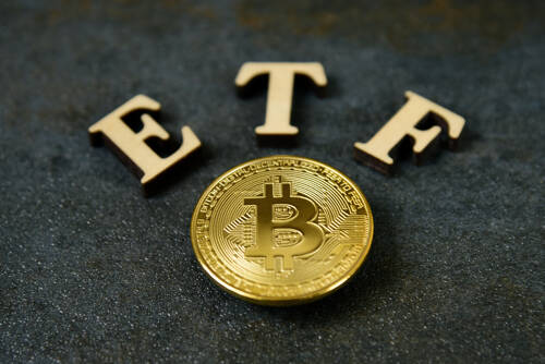 Bitcoin Weekly Updates